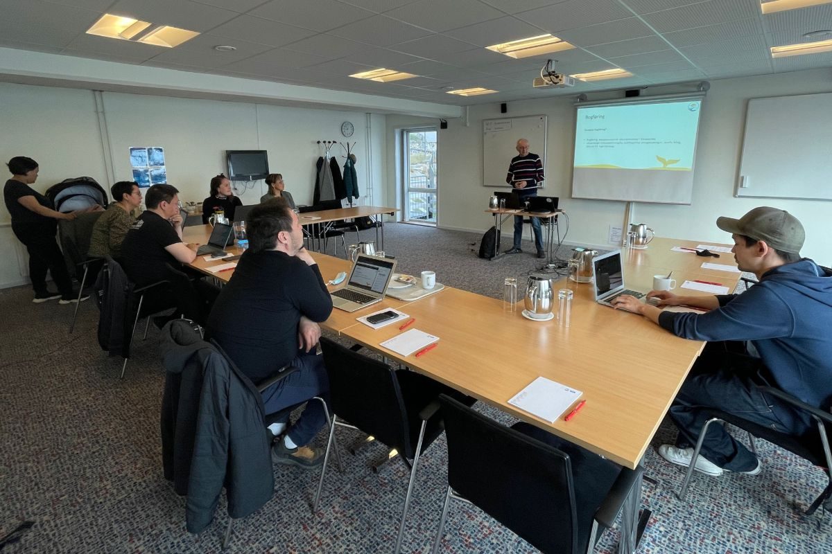 Aningaasanik aqutsineq