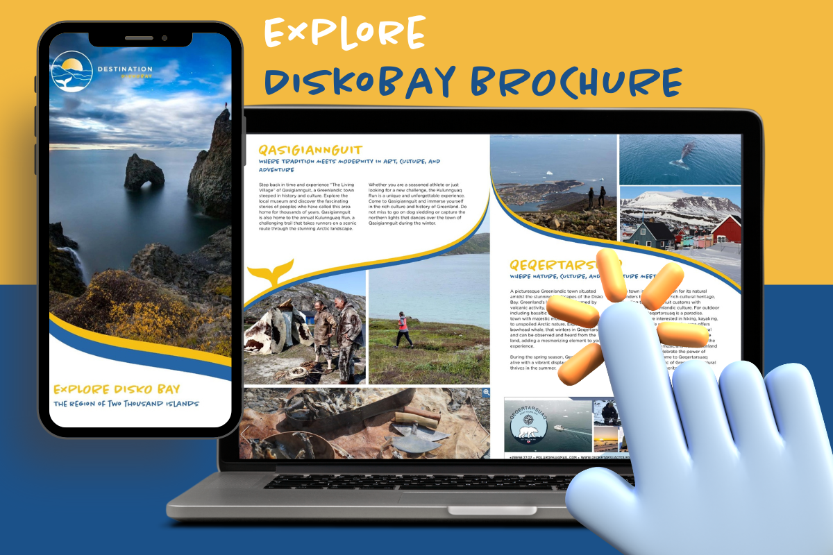 Explore Diskobay by clicking here