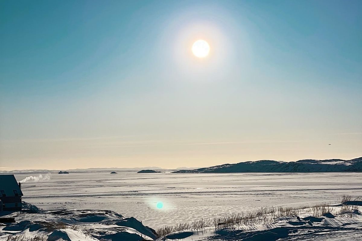 Forårsaktiviteter 2024